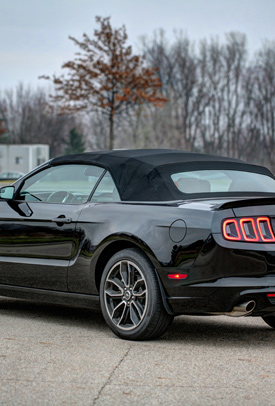 Hình ảnh minh họa